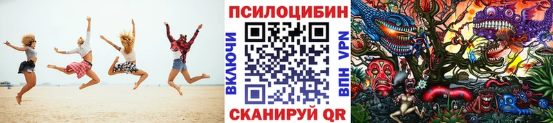 мориарти официальный сайт  Суворов  Псилоцибиновые грибы Magic Shrooms 